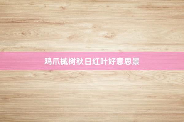 鸡爪槭树秋日红叶好意思景