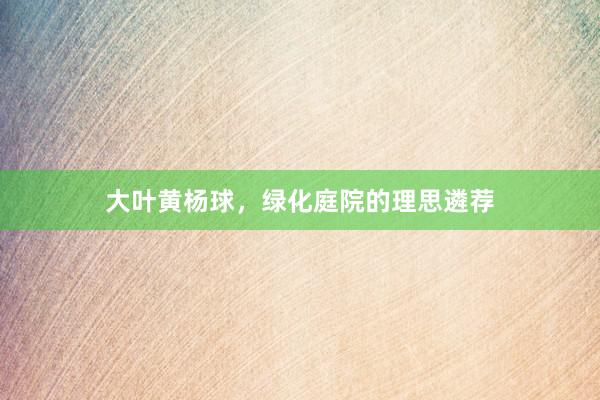 大叶黄杨球，绿化庭院的理思遴荐