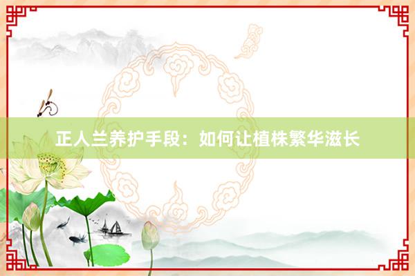 正人兰养护手段：如何让植株繁华滋长